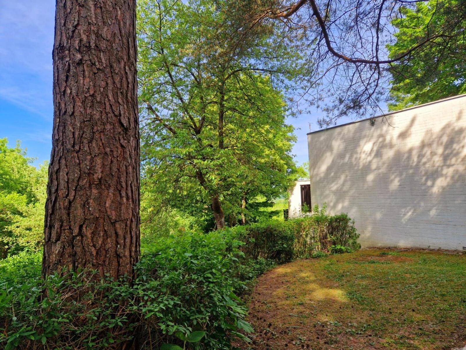 Berg-Bungalows Leinleitertal Heiligenstadt in Oberfranken Екстер'єр фото