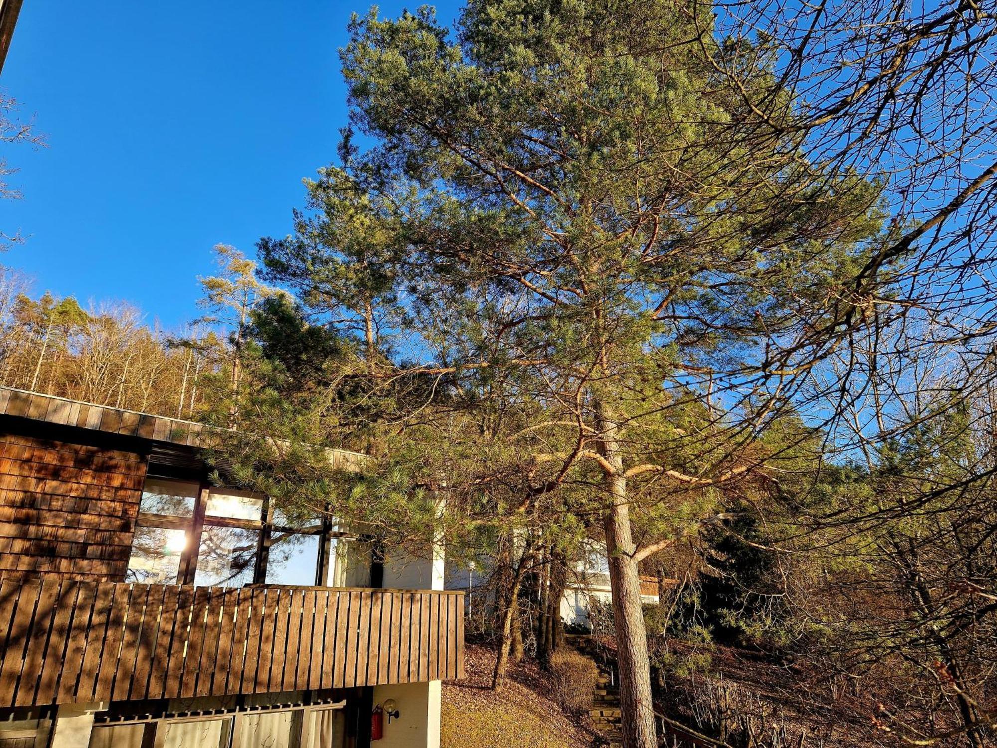 Berg-Bungalows Leinleitertal Heiligenstadt in Oberfranken Екстер'єр фото